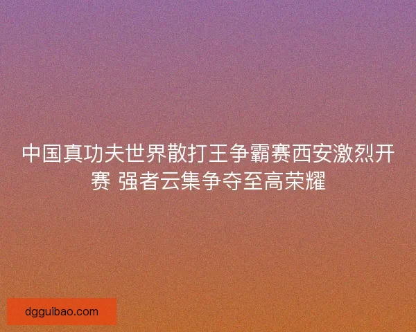中国真功夫世界散打王争霸赛西安激烈开赛 强者云集争夺至高荣耀