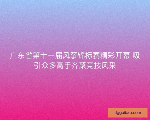广东省第十一届风筝锦标赛精彩开幕 吸引众多高手齐聚竞技风采